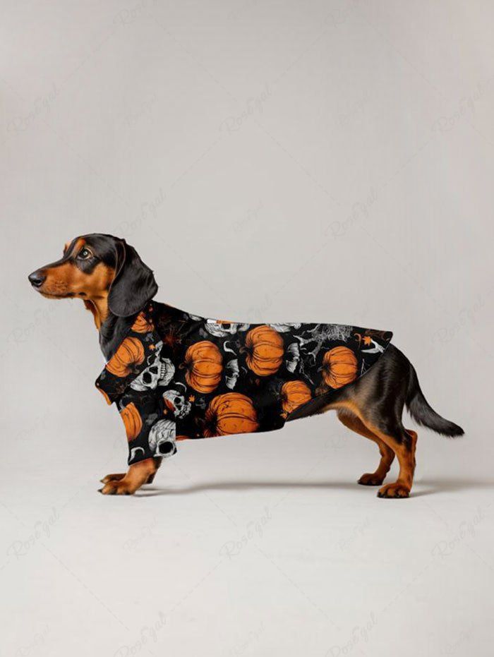 Costume d'Halloween Crânes de citrouille Chauve-souris Toile d'araignée Imprimé Chien et propriétaire Tenues assorties