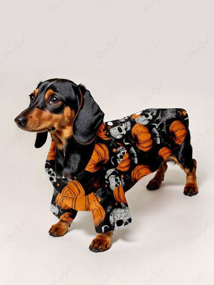 Costume d'Halloween Crânes de citrouille Chauve-souris Toile d'araignée Imprimé Chien et propriétaire Tenues assorties
