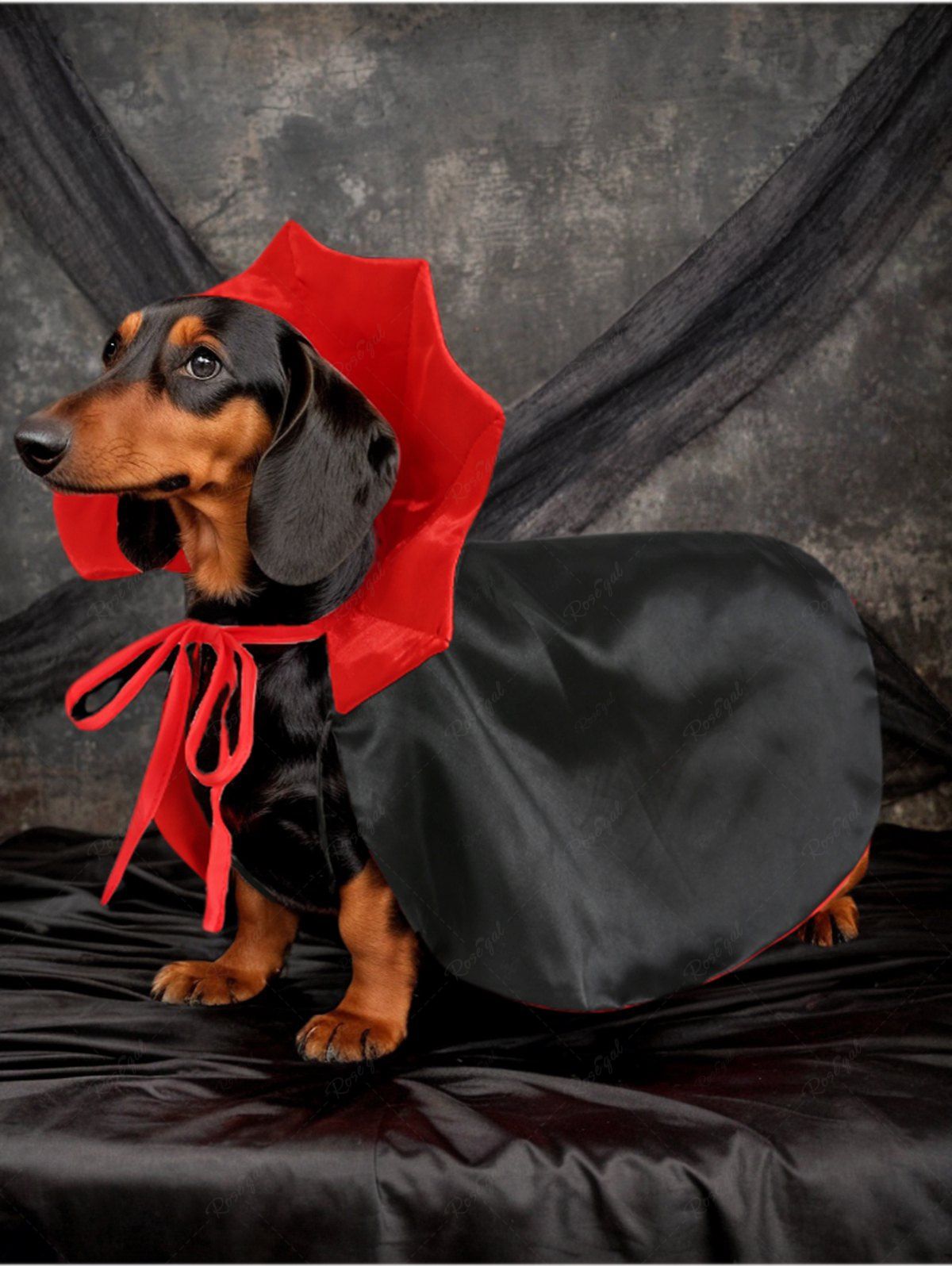 Halloween Costume Two Tone Vampire Cape And Cloak Dog and Owner Matching Outfits