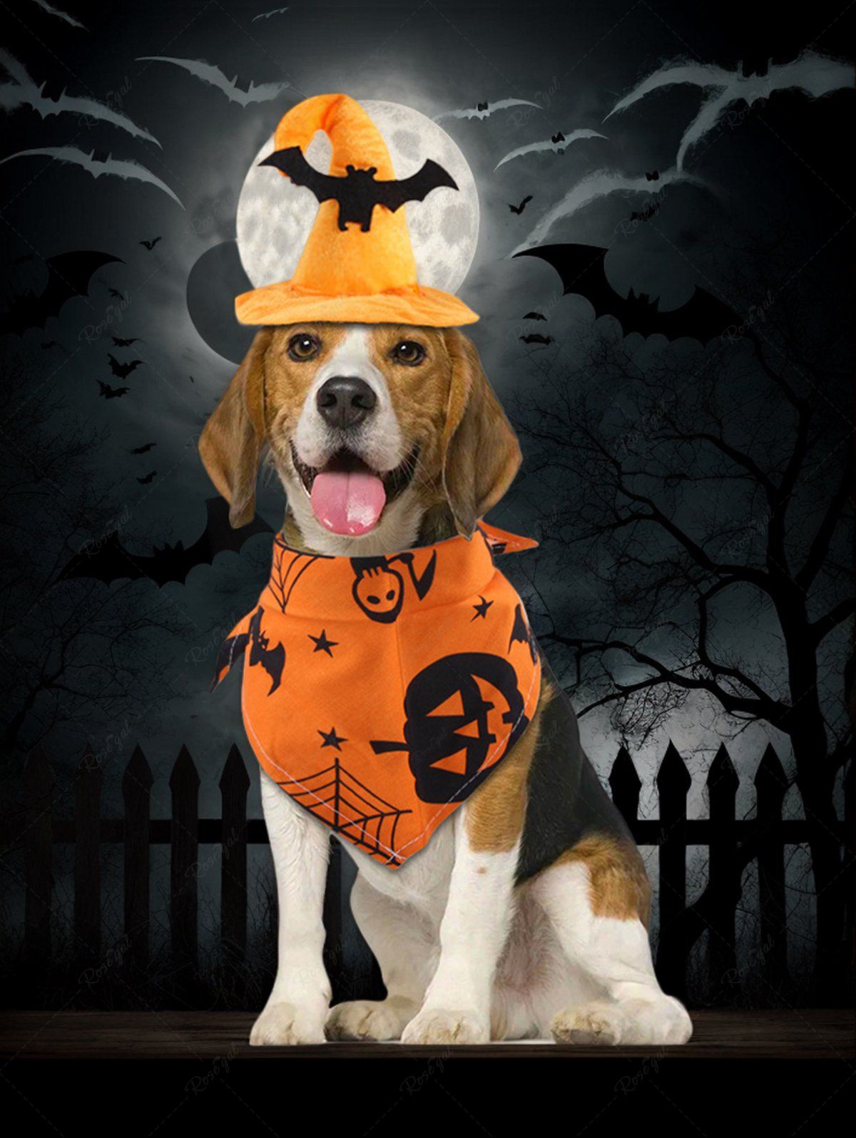 Costume de sorcière d'Halloween pour animaux de compagnie, bandana et chapeau imprimés citrouille, chauve-souris, étoile, toile d'araignée