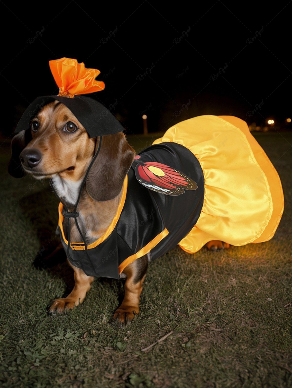 Robe papillon d'Halloween pour animaux de compagnie avec bandeau à fleurs à cordon de serrage