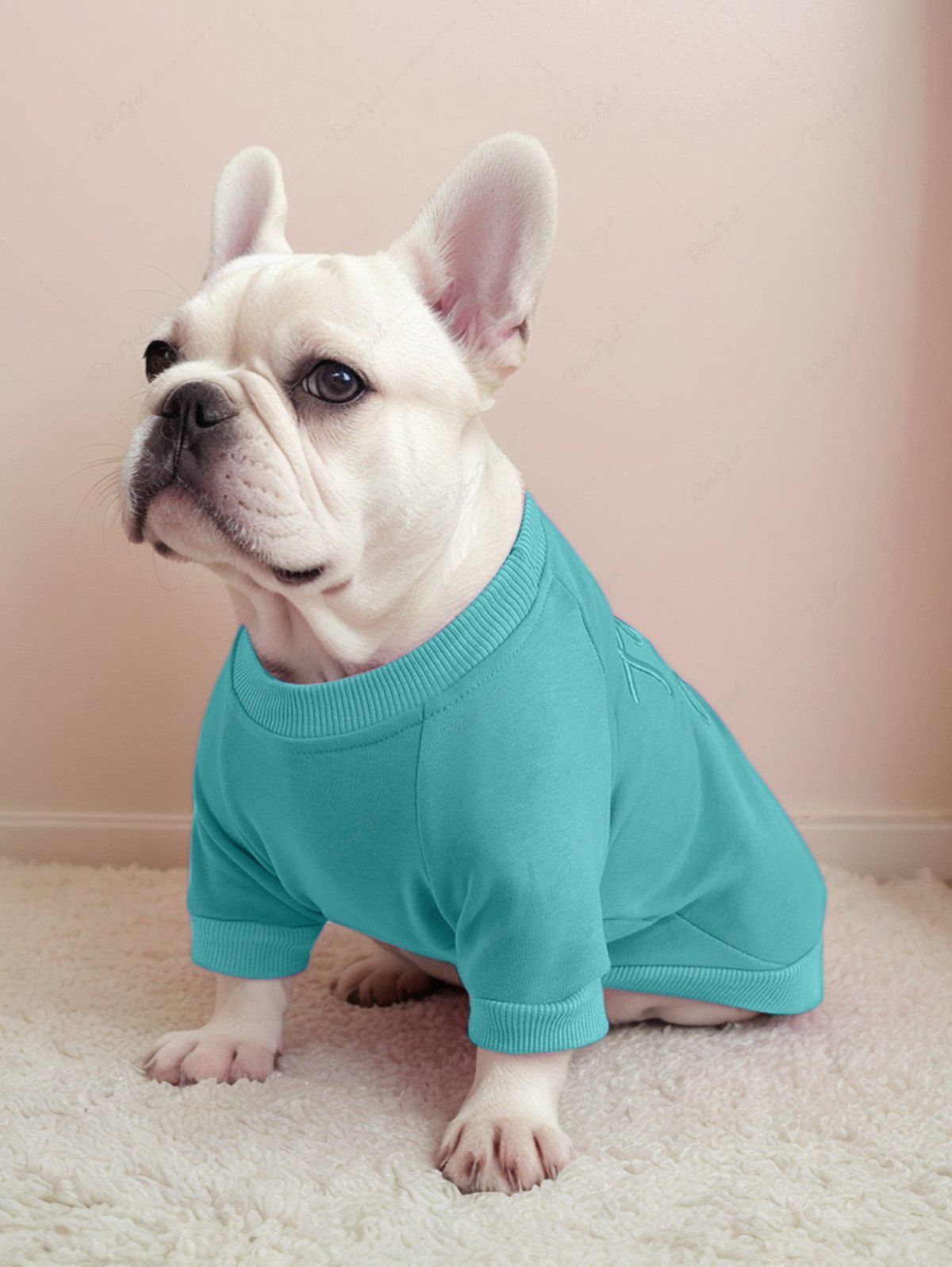 Sweat-shirt brodé en jacquard avec lettres de couleur unie, tenues assorties pour chien et propriétaire