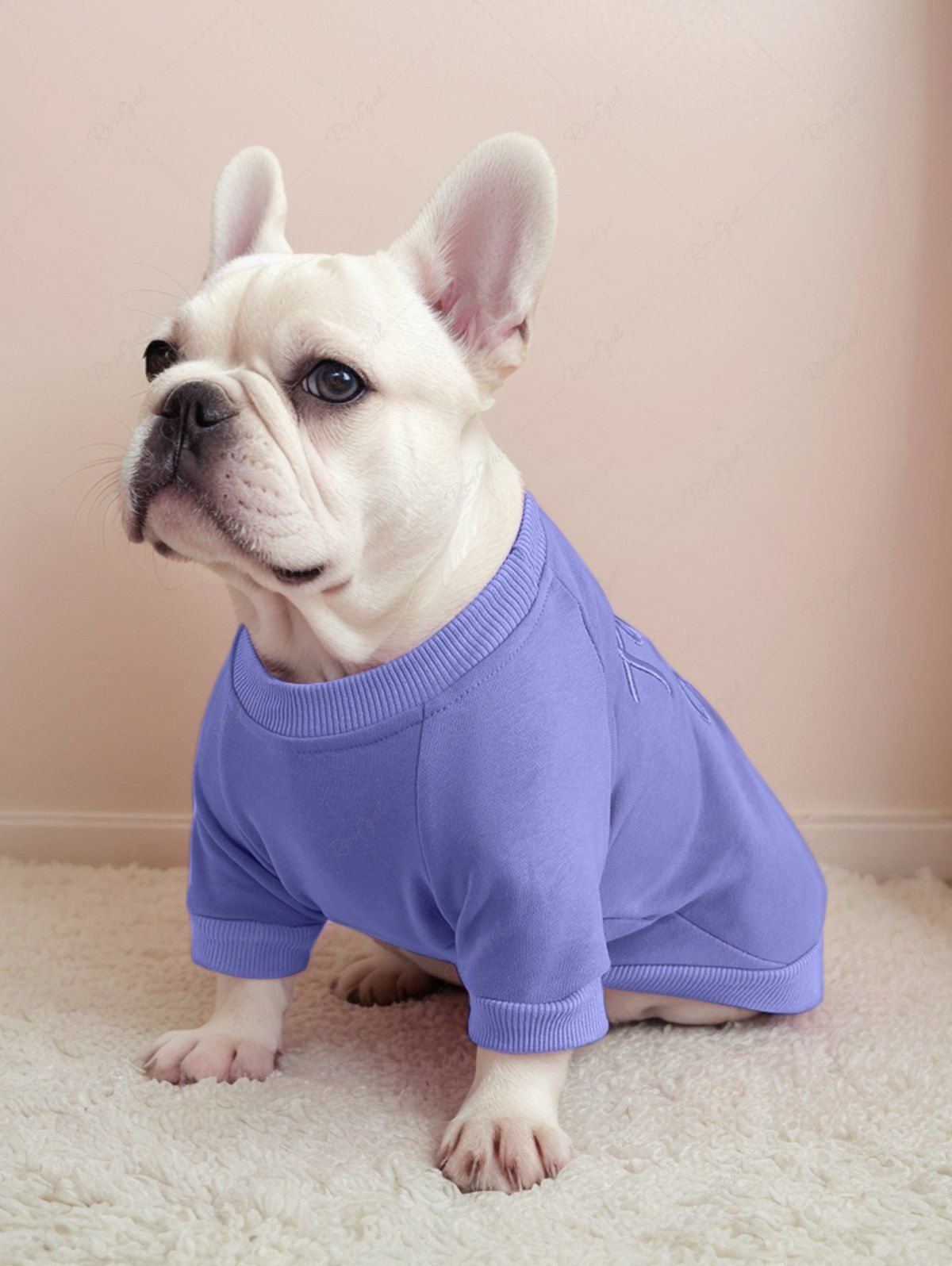 Sweat-shirt uni brodé en jacquard avec lettres pour animaux de compagnie