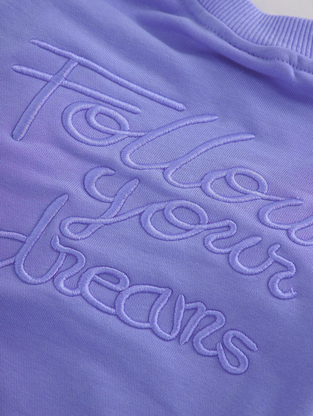 Sweat-shirt uni brodé en jacquard avec lettres pour animaux de compagnie