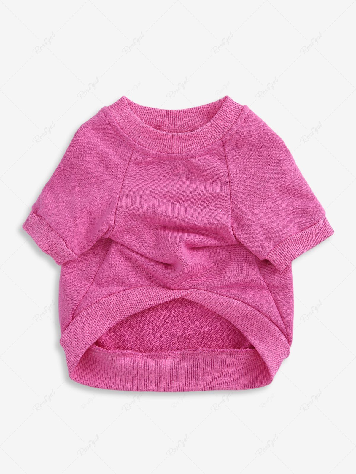 Sweat-shirt brodé en jacquard avec lettres de couleur unie, tenues assorties pour chien et propriétaire