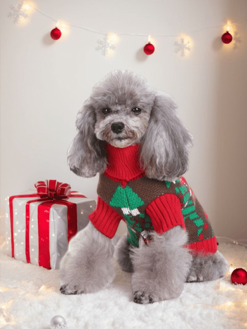 Christmas Snowflake Ugly Funny Elk Print Cardigan and Sweater Dog and Owner Matching Outfits