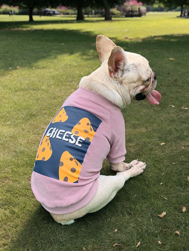 Sweat-shirt imprimé graphique géométrique avec lettres de fromage Tenues assorties pour chien et propriétaire
