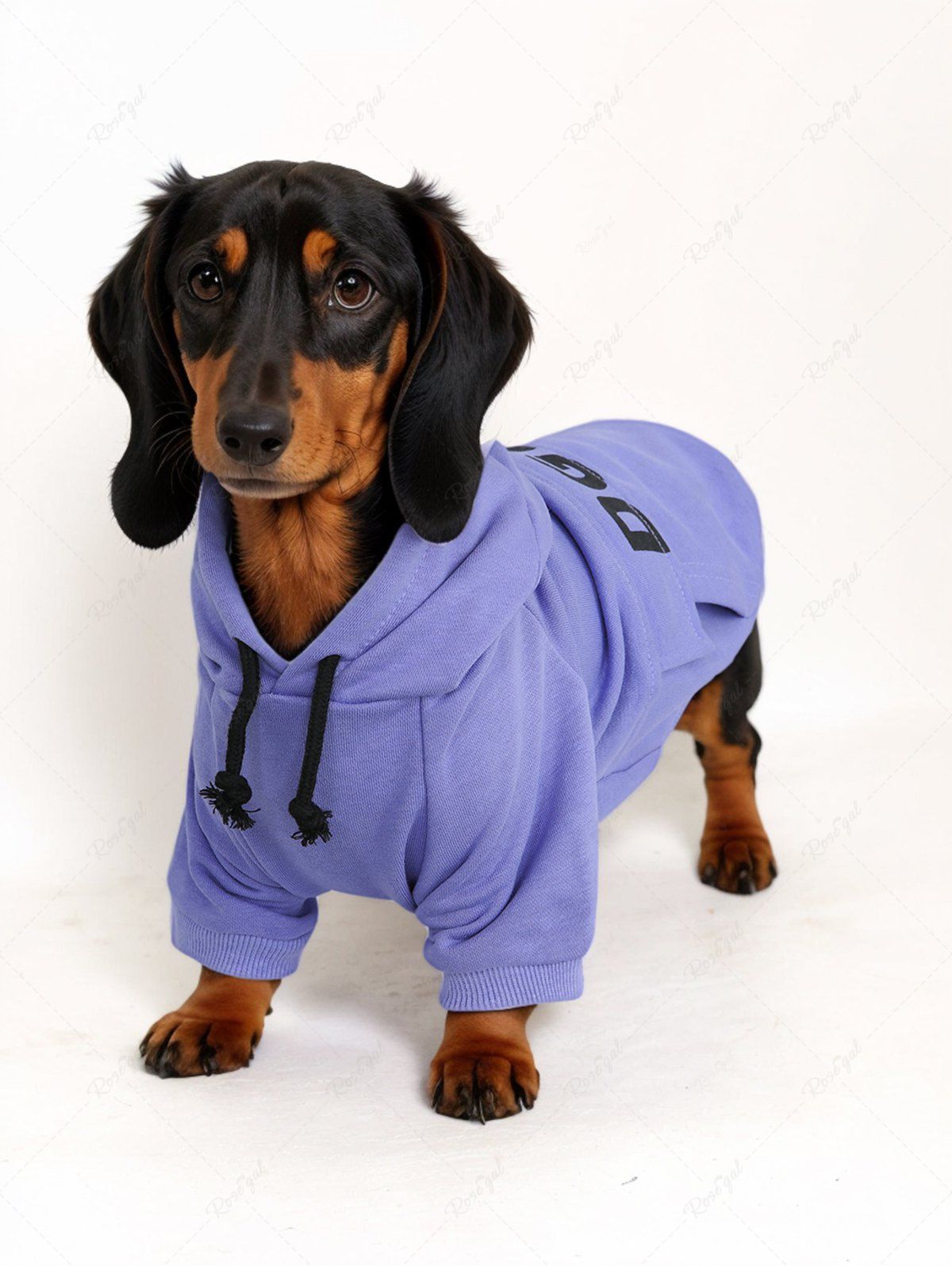 Letters Print Hoodie Dog And Owner Matching Outfits