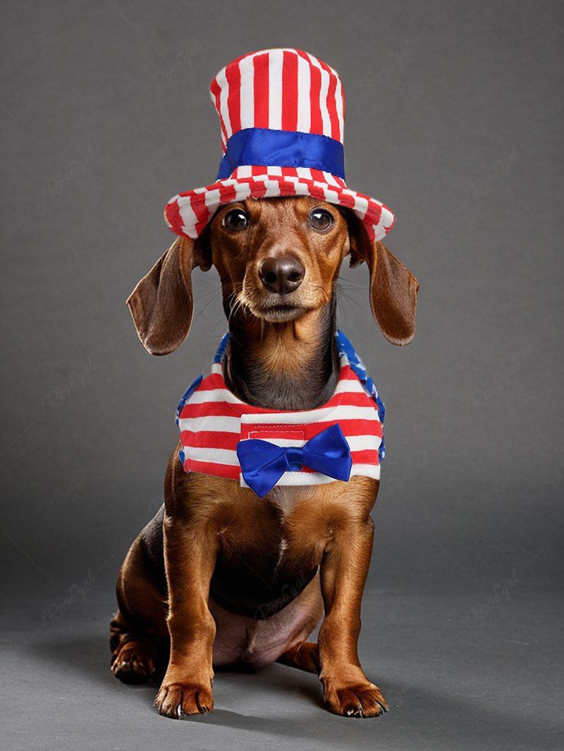 Patriotic American Flag Print Bowknot Coat With Hat and Tank Dress Dog and Owner Matching Outfits
