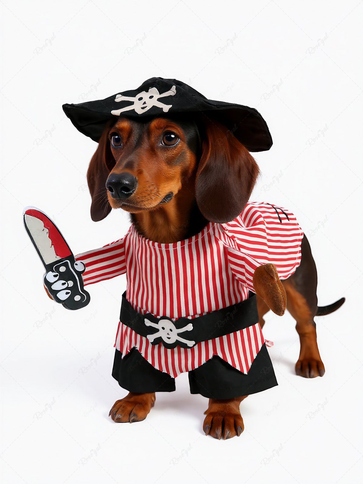 Halloween Costume Pirate Style Maxi Dress Dog and Owner Matching Outfits