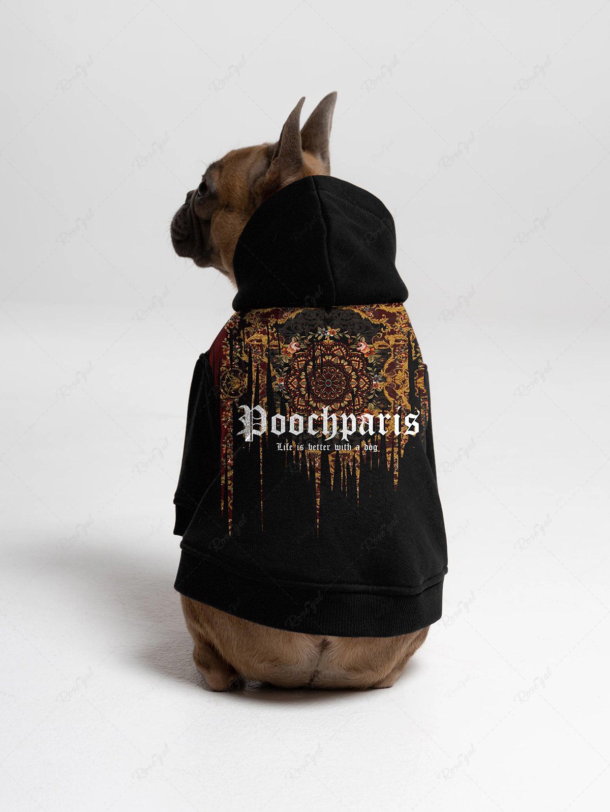 Sweat à capuche imprimé lettres florales Paisley pour animaux de compagnie