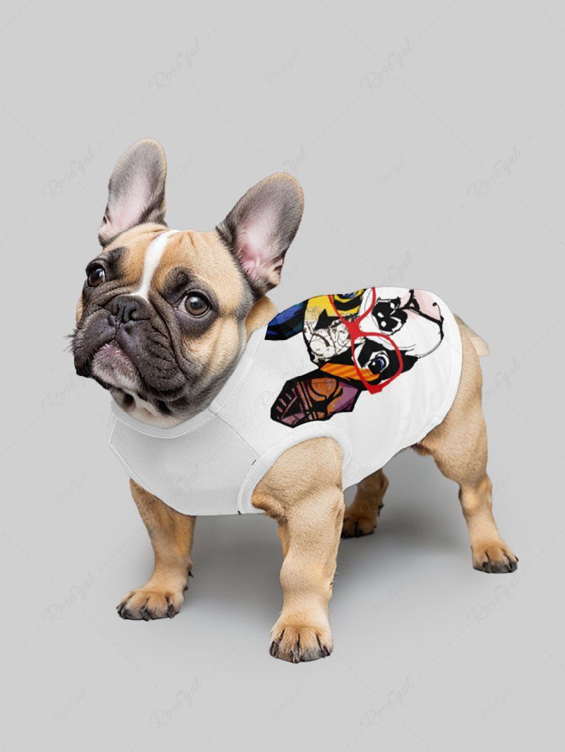 Colorful Animal Print T-shirt Tank Top Dog And Owner Matching Outfits