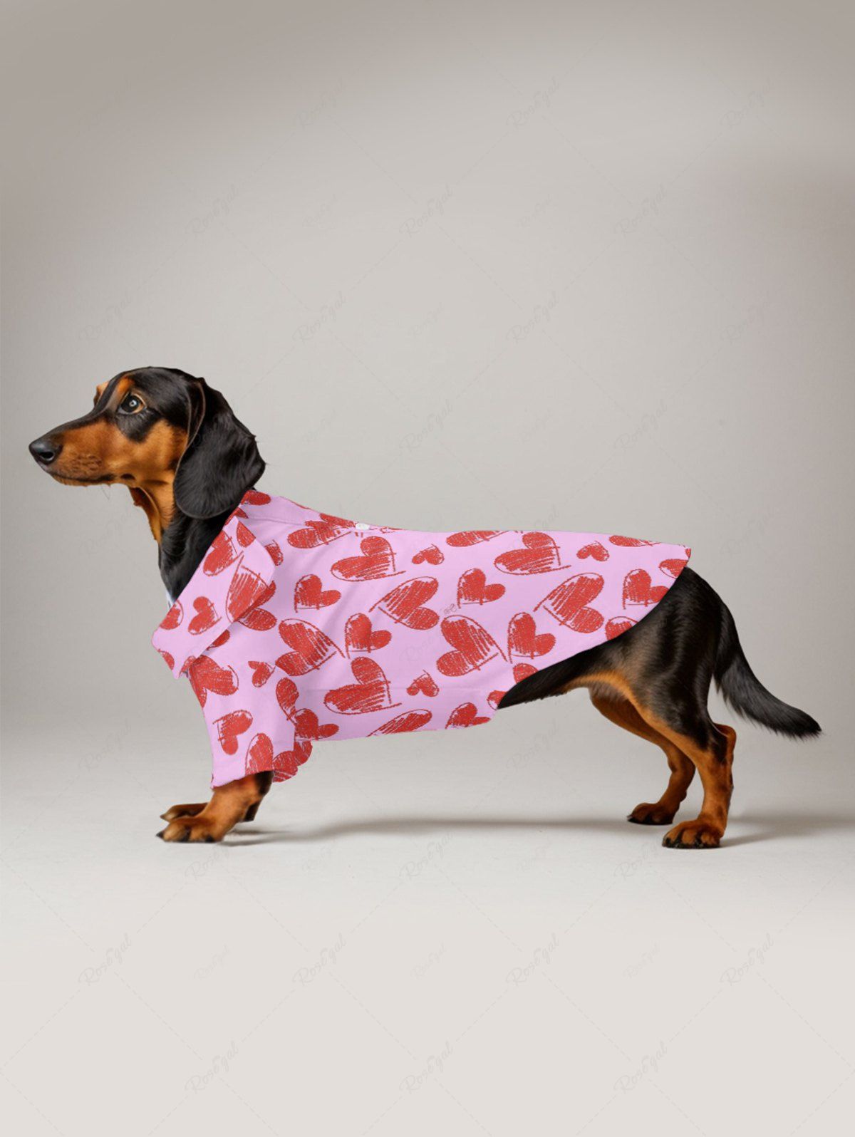 Pet's Valentine's Day Heart Printed Shirt