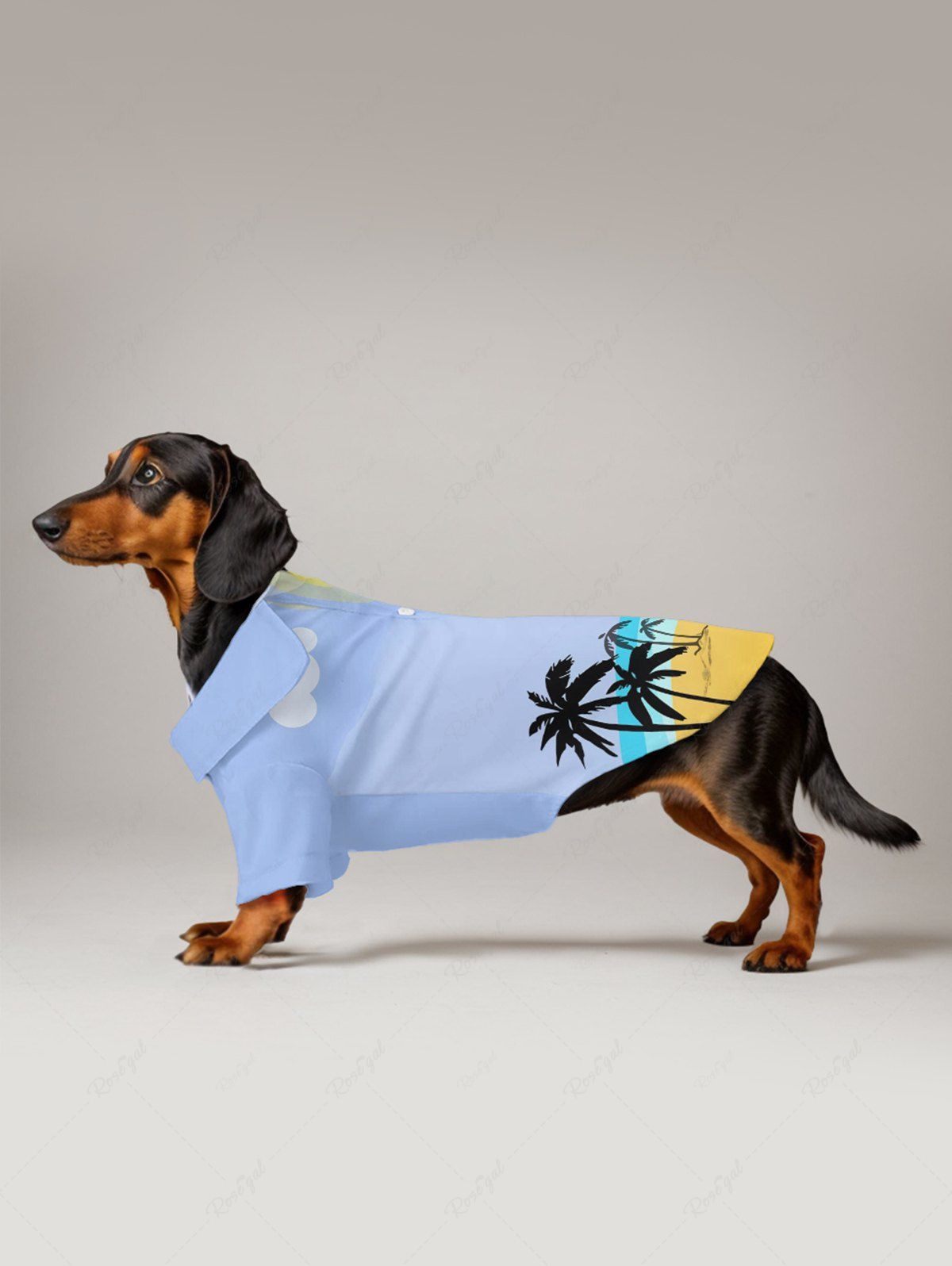 Chemise boutonnée hawaïenne à imprimé cocotier, plage, soleil et nuages pour animaux de compagnie