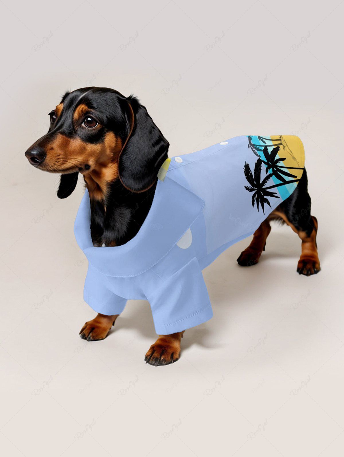Chemise boutonnée hawaïenne à imprimé cocotier, plage, soleil et nuages pour animaux de compagnie