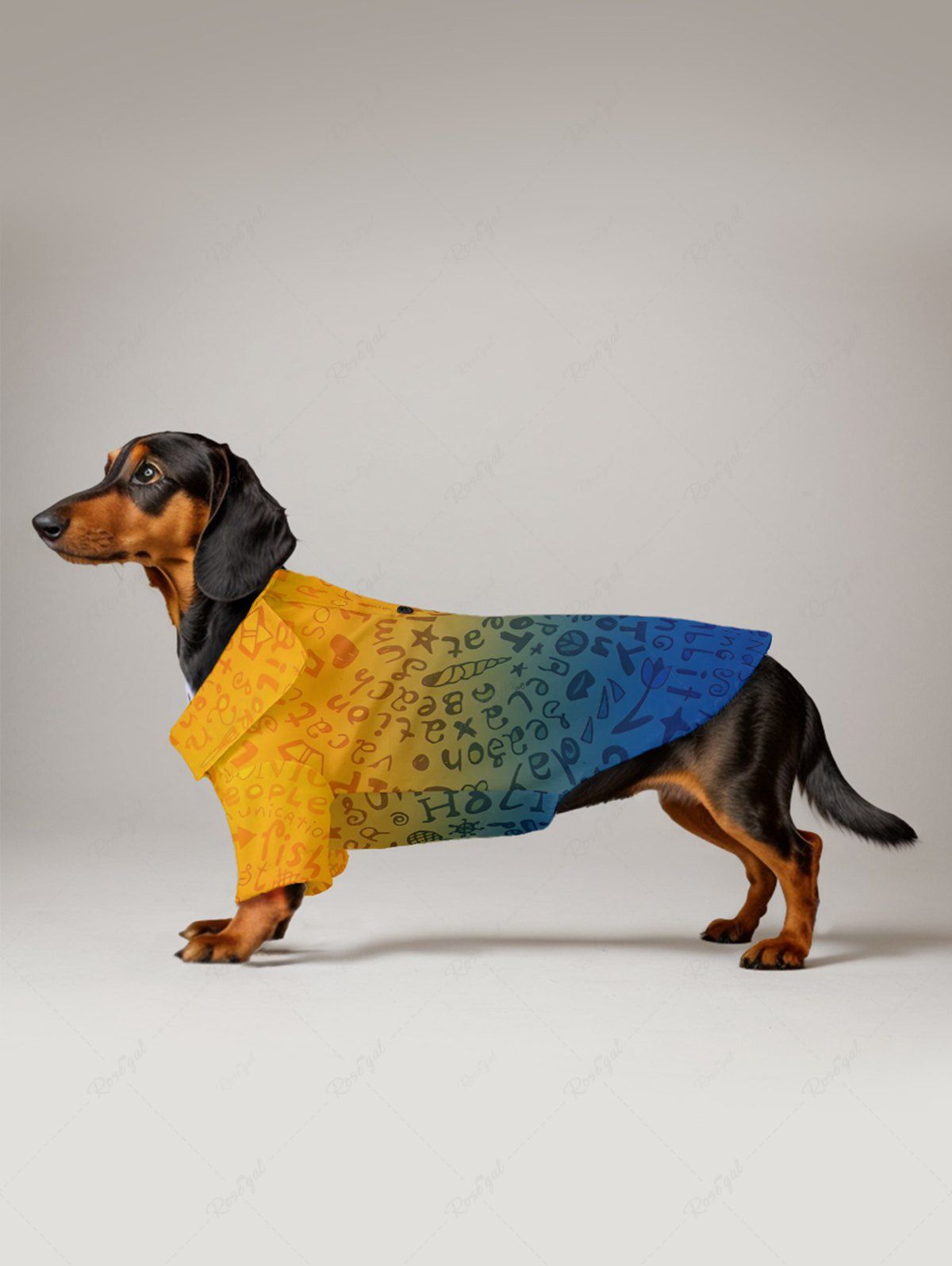 Pet's Letters Printed Dip Dye Ombre Button Shirt