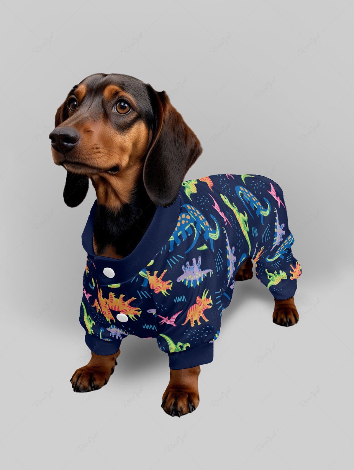 Colorful Dinosaur Print Pajama Pants Dog And Owner Matching Outfits