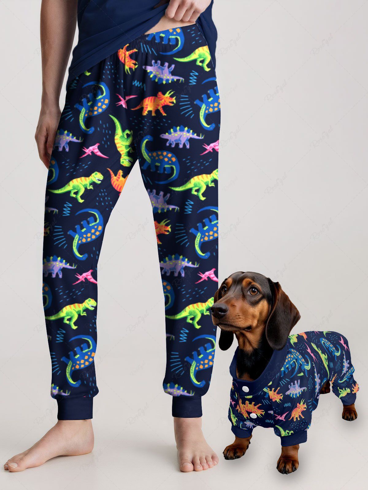 Colorful Dinosaur Print Pajama Pants Dog And Owner Matching Outfits