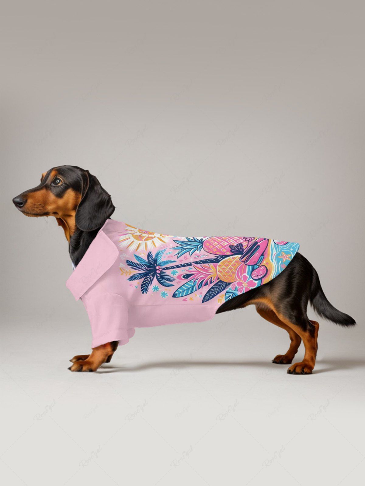 Chemises à boutons colorées avec imprimé cocotier, ananas, mer, plage, soleil, hawaïen, tenues assorties pour chien et propriétaire