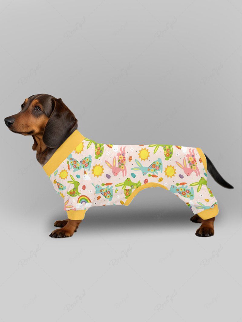 Pyjama imprimé lapin de Pâques, soleil, carotte, arc-en-ciel, tenues assorties pour chien et propriétaire