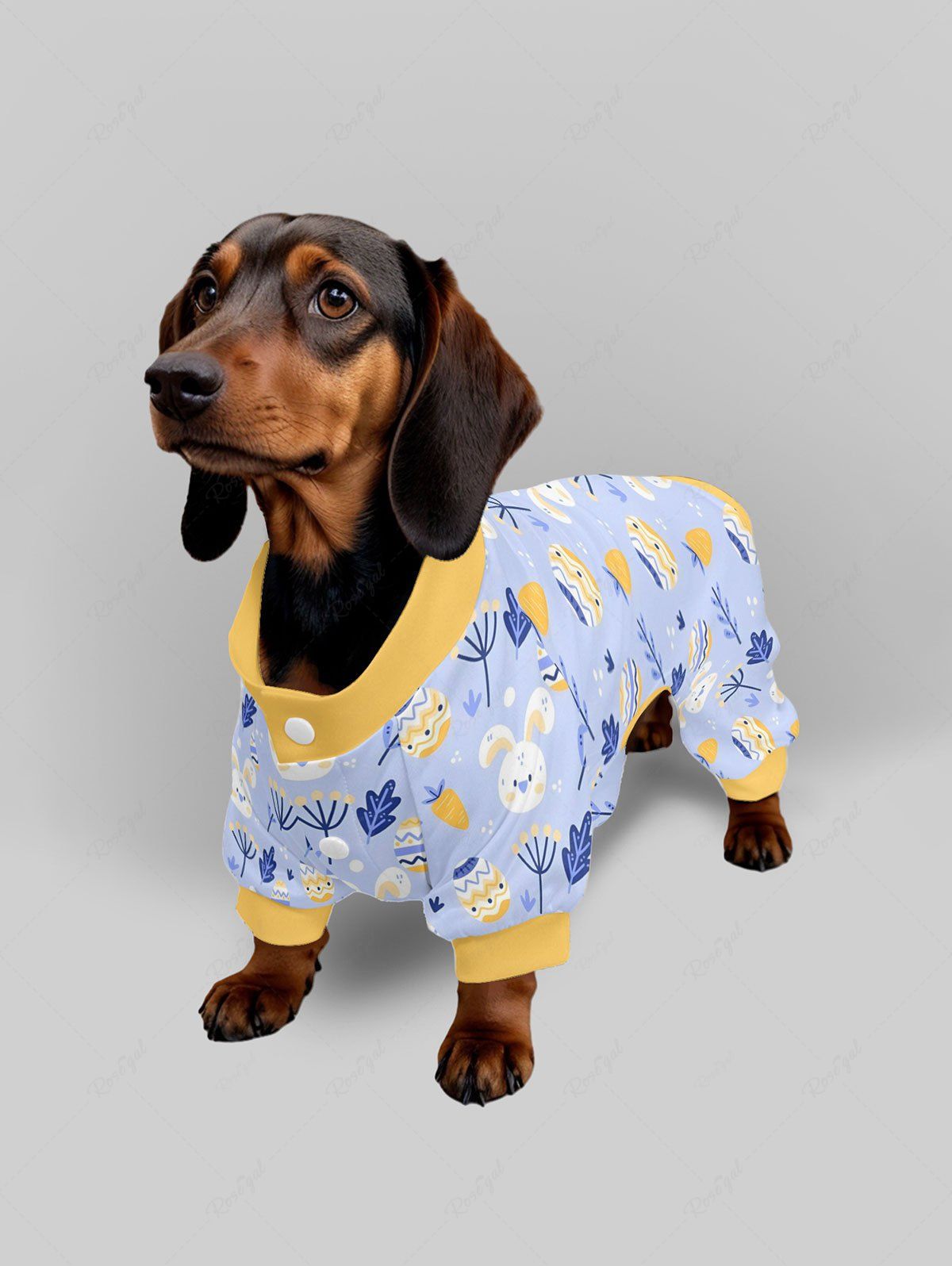 Pyjama et pantalon imprimés œuf de Pâques, lapin, carotte, feuille, tenues assorties pour chien et propriétaire