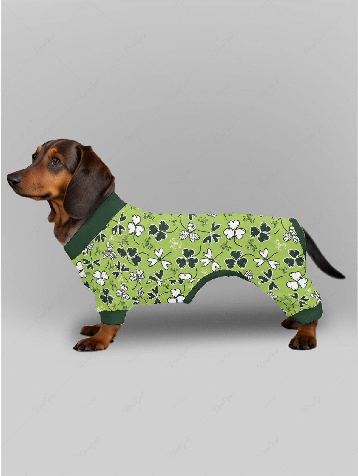 Pyjama imprimé feuilles pour chien et propriétaire, tenues assorties pour la Saint-Patrick