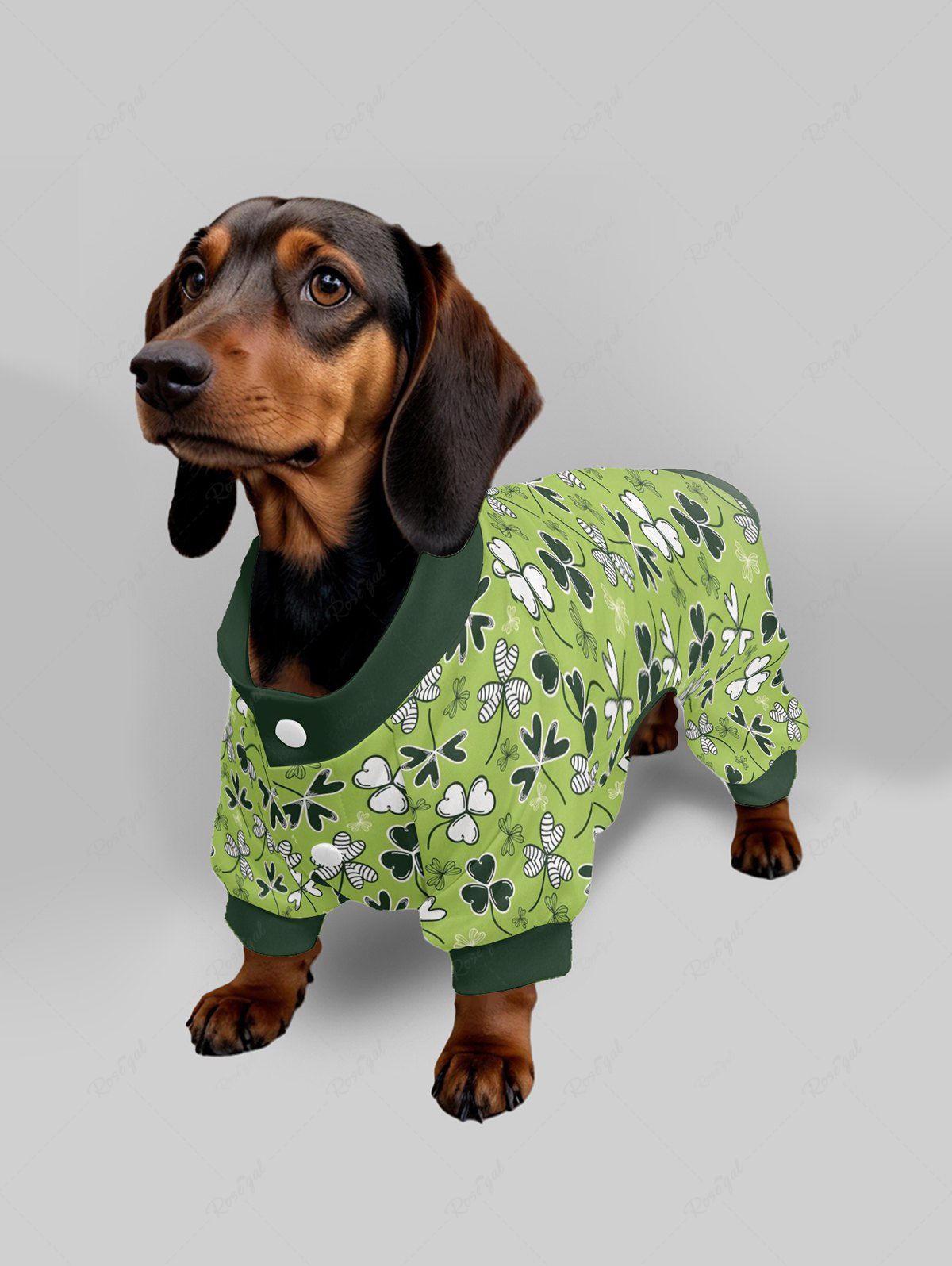 Pyjama imprimé feuilles pour chien et propriétaire, tenues assorties pour la Saint-Patrick