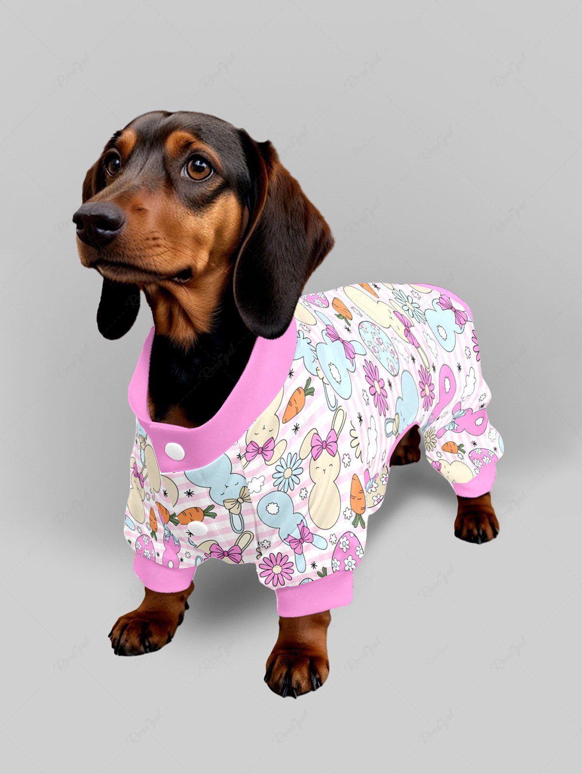 Easter Egg Rabbit Carrot Flower Printed Pajama and Pants Dog and Owner Matching Outfits
