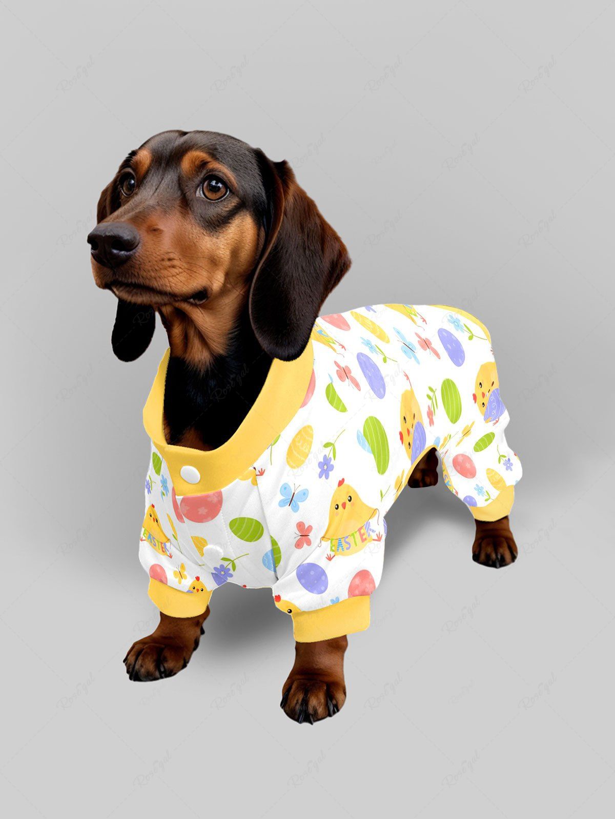 Pyjama et pantalon imprimés œuf de Pâques, poussin, fleur et papillon, tenues assorties pour chien et propriétaire