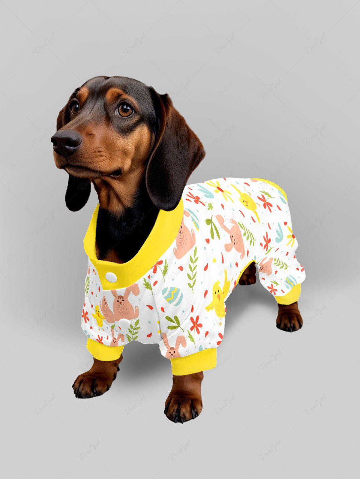 Pyjama et pantalon imprimés œuf de Pâques, poussin, lapin, fleurs, tenues assorties pour chien et propriétaire