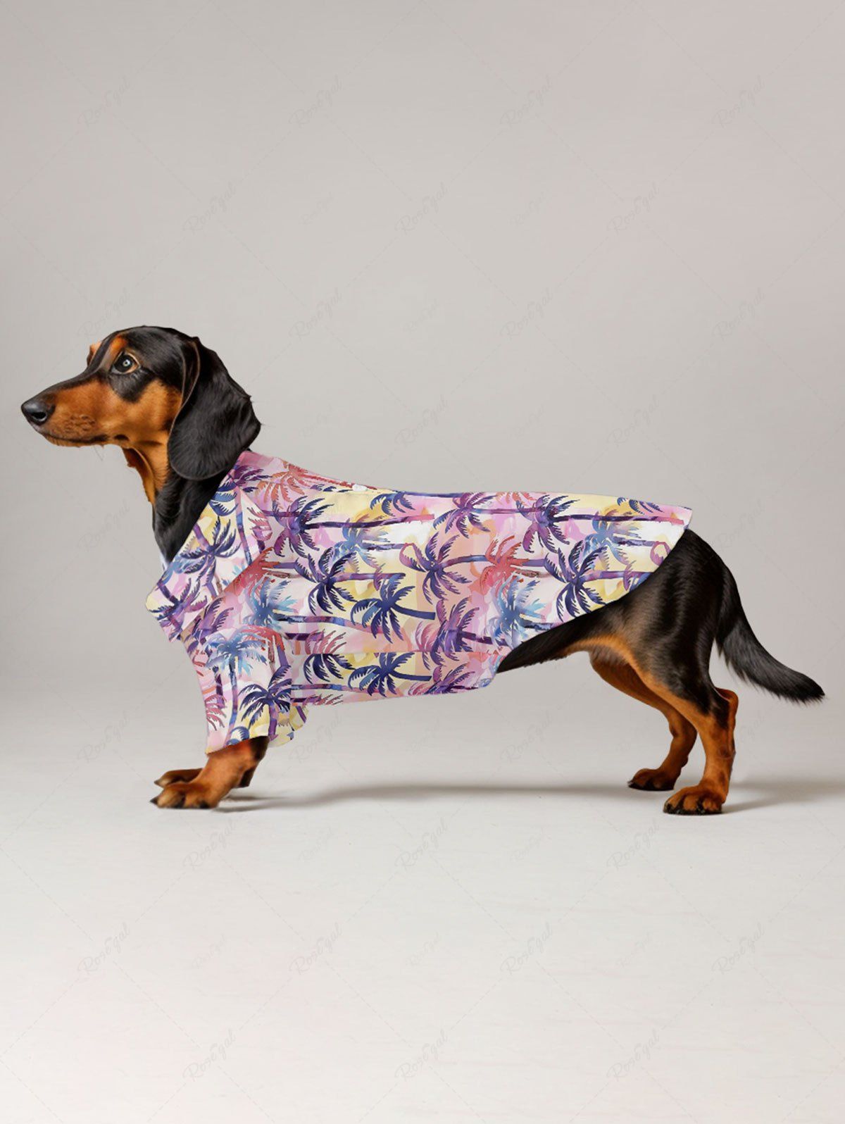 Pet's Ombre Coconut Tree Printed Hawaii Button Shirt