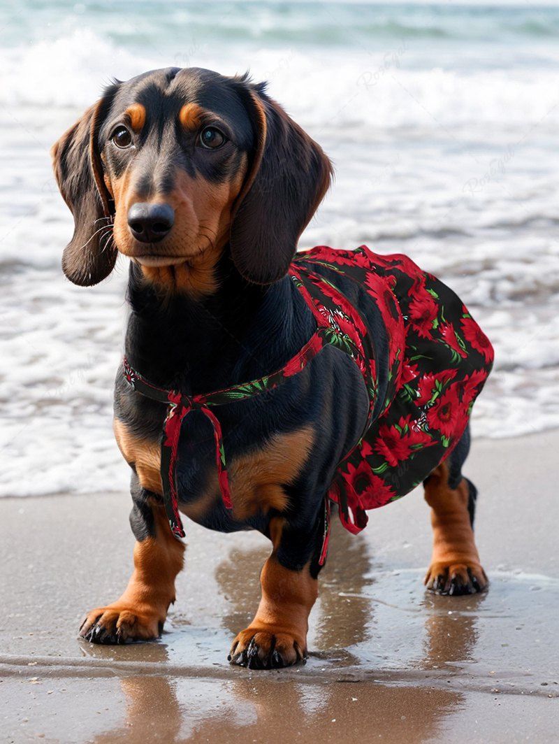 Daisy Flower Printed Hawaii Bikini Set Beach Cover Up Dog And Owner Matching Outfits