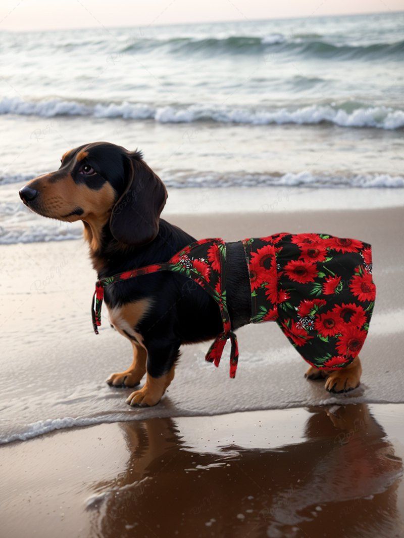 Daisy Flower Printed Hawaii Bikini Set Beach Cover Up Dog And Owner Matching Outfits