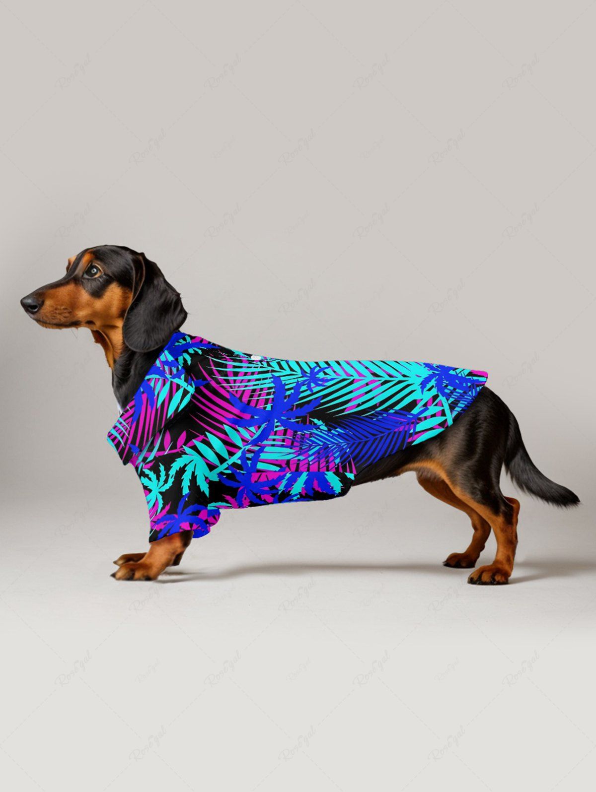 Pet's Coconut Tree Tropical Leaf Print Hawaii Shirt