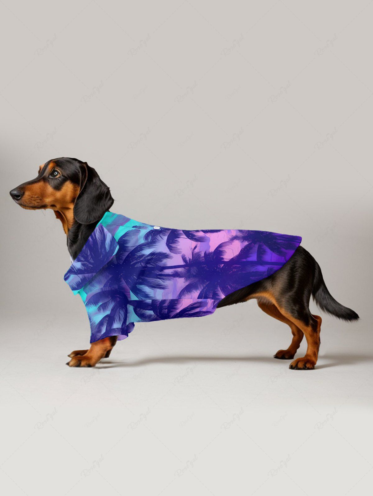 Pet's Coconut Tree Cloud Seascape Ombre Print Hawaii Shirt