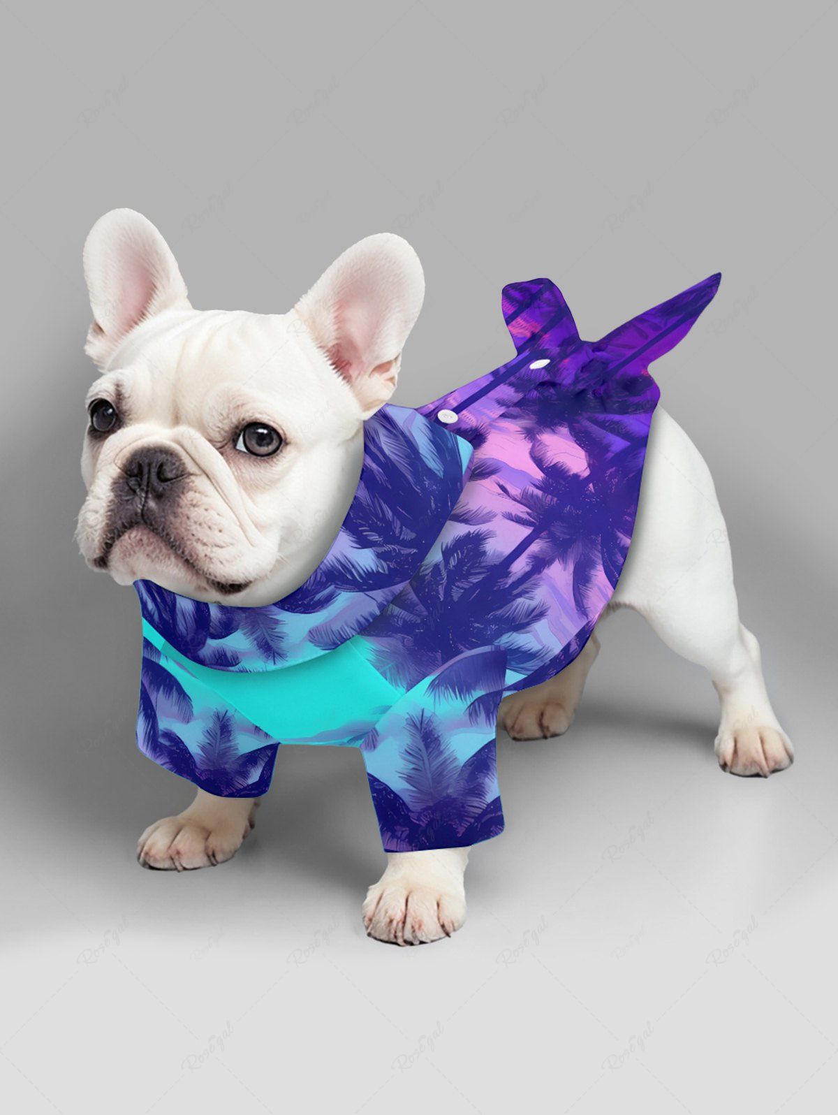 Pet's Coconut Tree Cloud Seascape Ombre Print Hawaii Shirt
