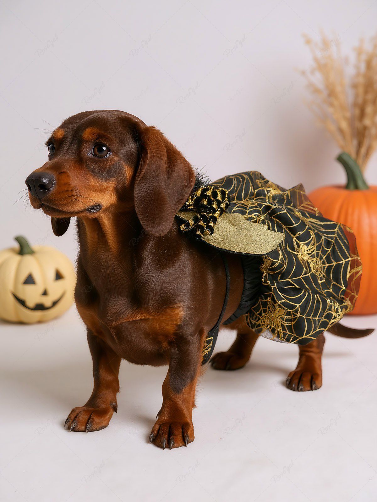 Halloween Costume Spider Web Print Skirt Set and Cami Dress Dog and Owner Matching Outfits