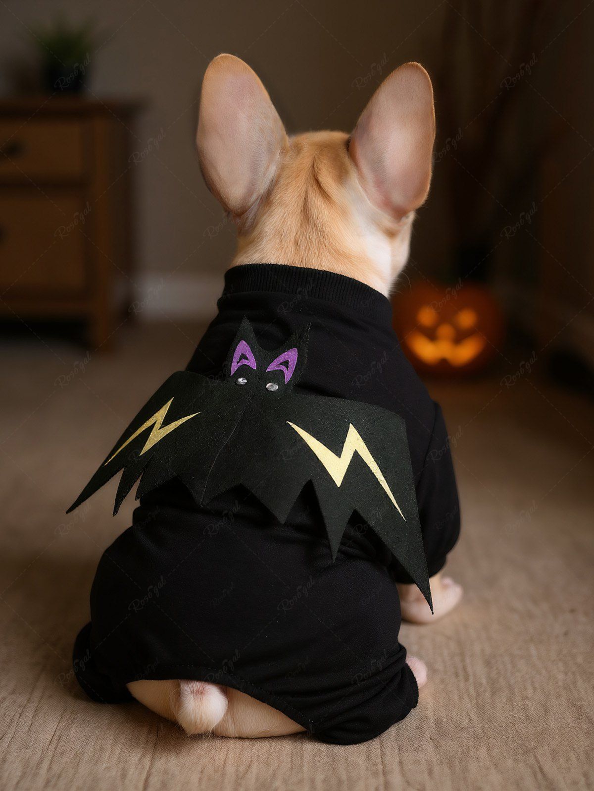 Pet's Halloween Costume Bat Sweatshirt