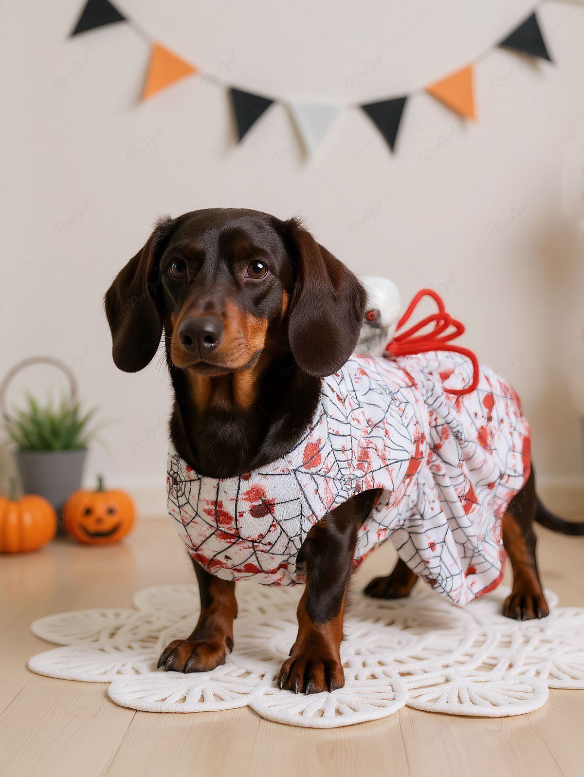 Halloween Spider Web Paint Splatter Print Skull Dresses Dog and Owner Matching Outfits