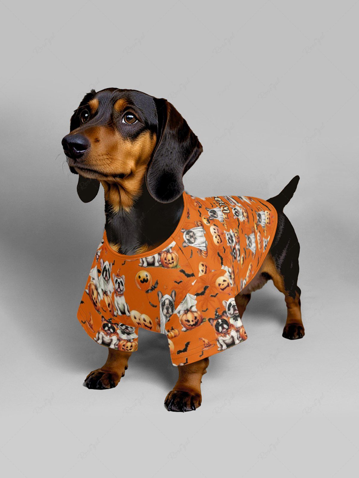 Pet's Halloween Dogs Pumpkin Bat Print T-shirt