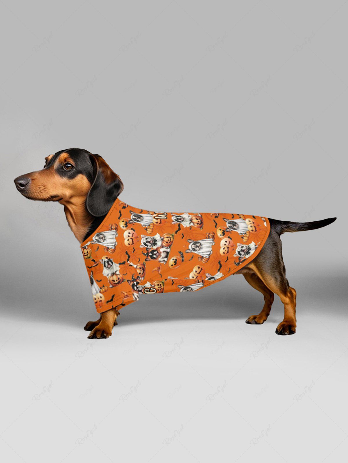 Pet's Halloween Dogs Pumpkin Bat Print T-shirt