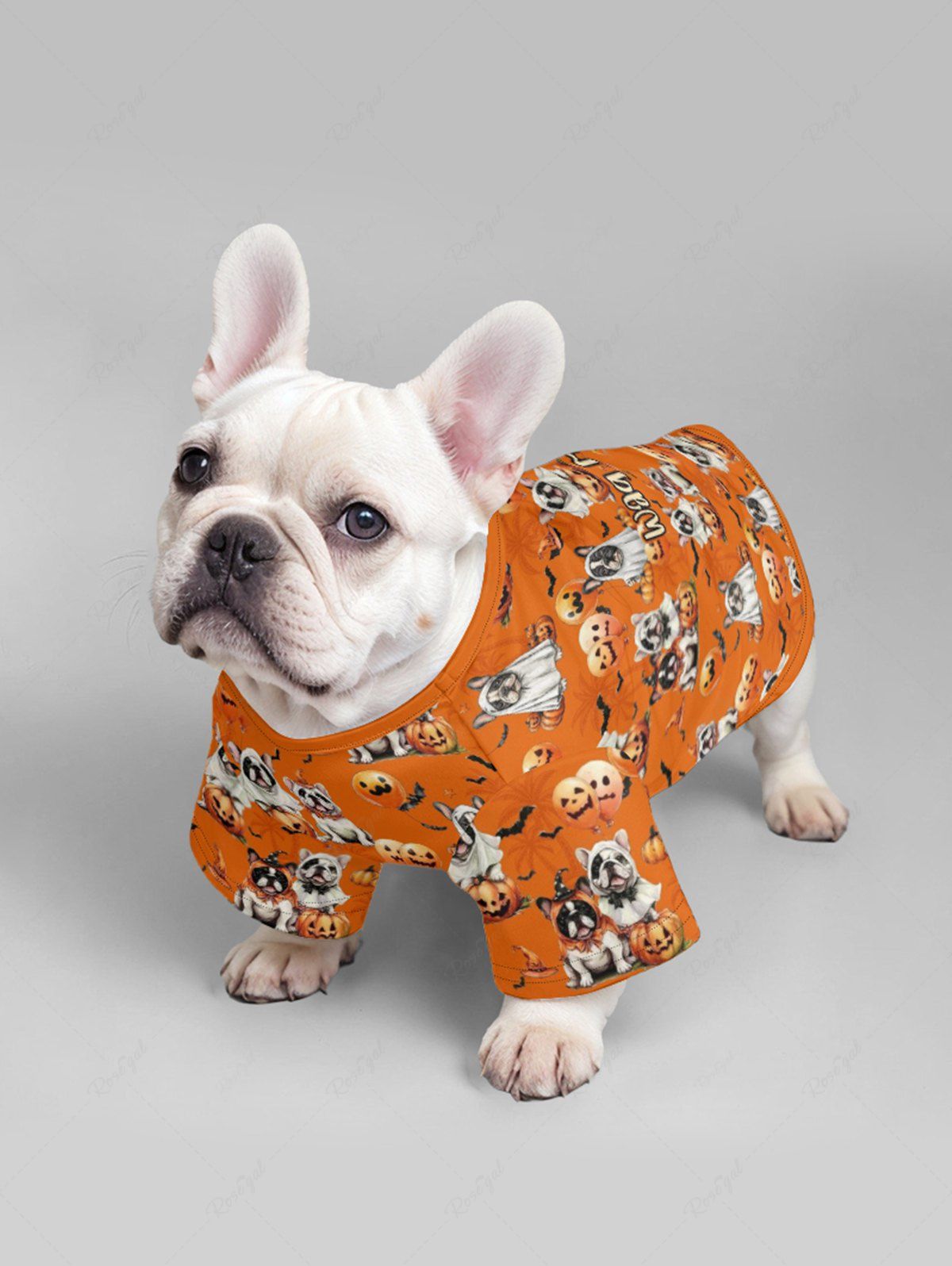 Pet's Halloween Dogs Pumpkin Bat Print T-shirt