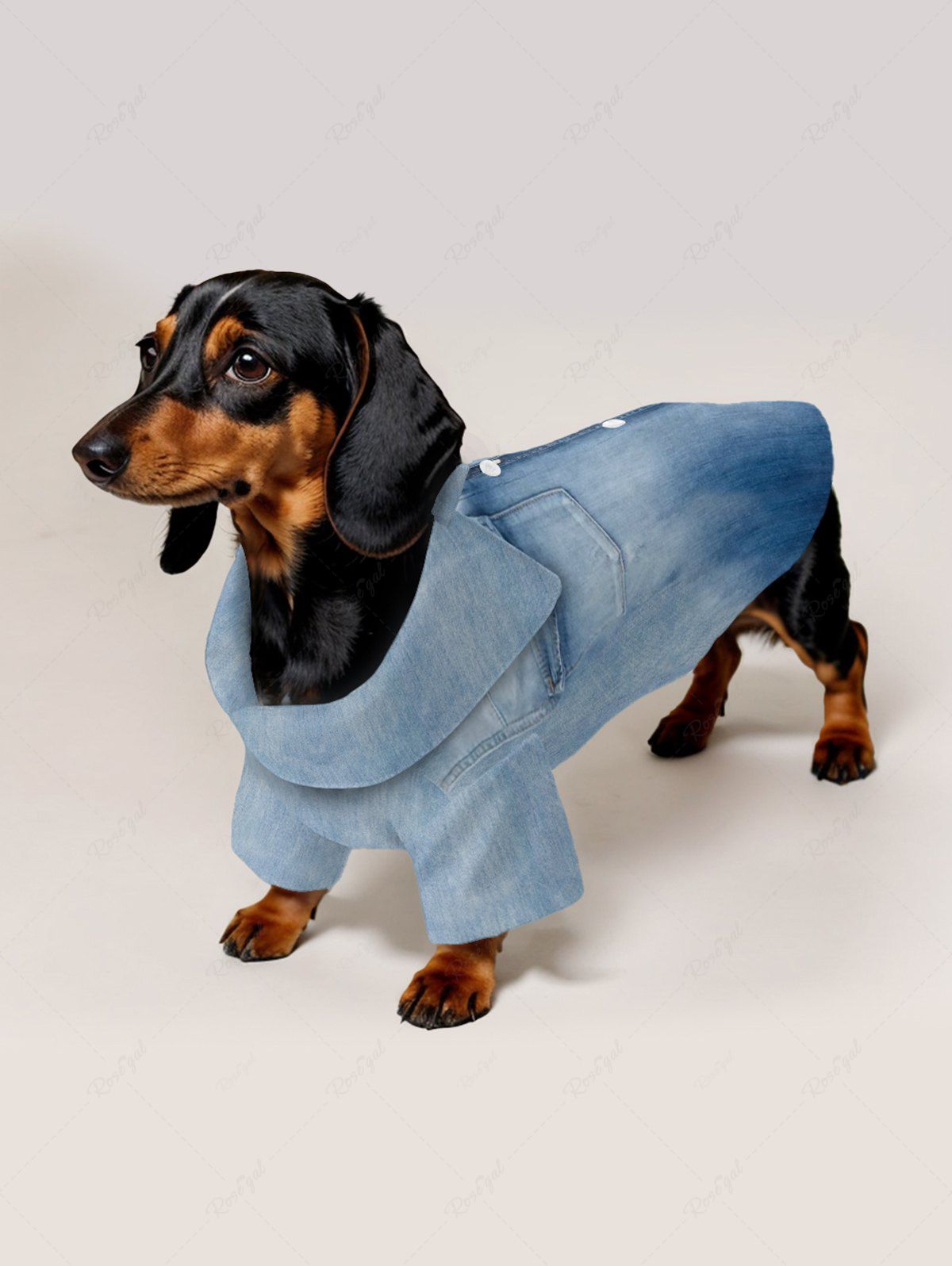 Ombre Denim 3D Print Shirts Dog and Owner Matching Outfits