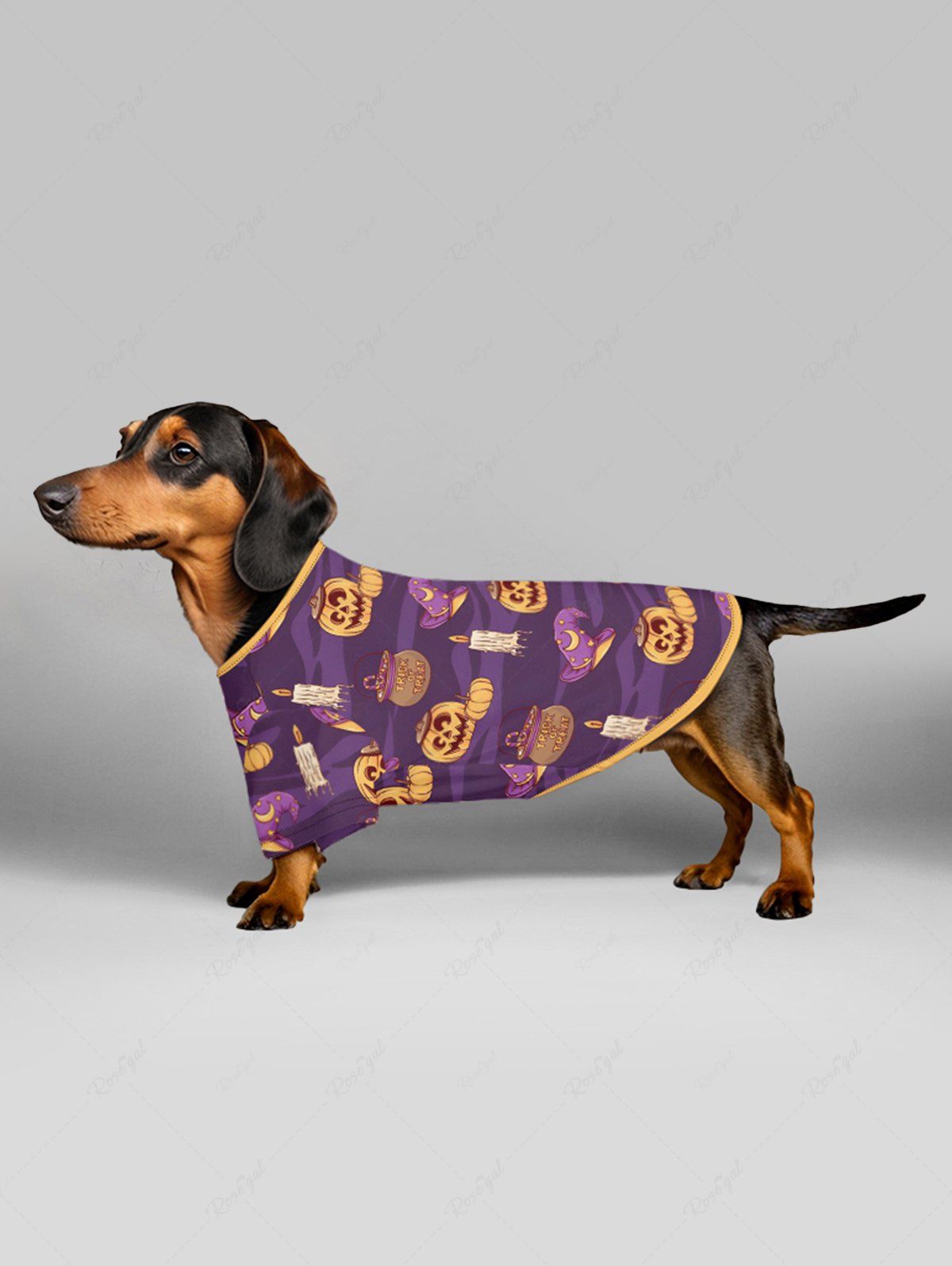 Pumpkin Wizard Hat Candle Printed Halloween T-shirt Pants Dog And Owner Matching Outfits