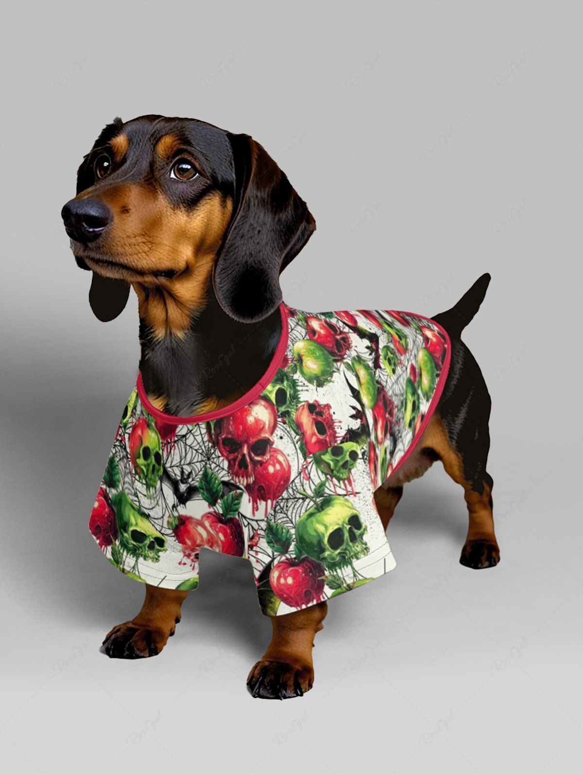 Halloween Apples Skulls Spider Web Bat Print T-shirt and Dress Dog and Owner Matching Outfits