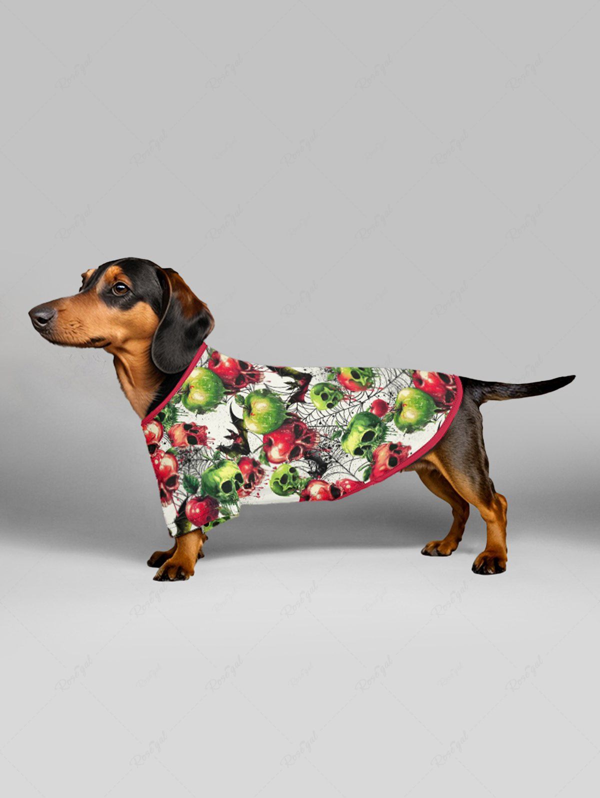 Halloween Apples Skulls Spider Web Bat Print T-shirt and Dress Dog and Owner Matching Outfits