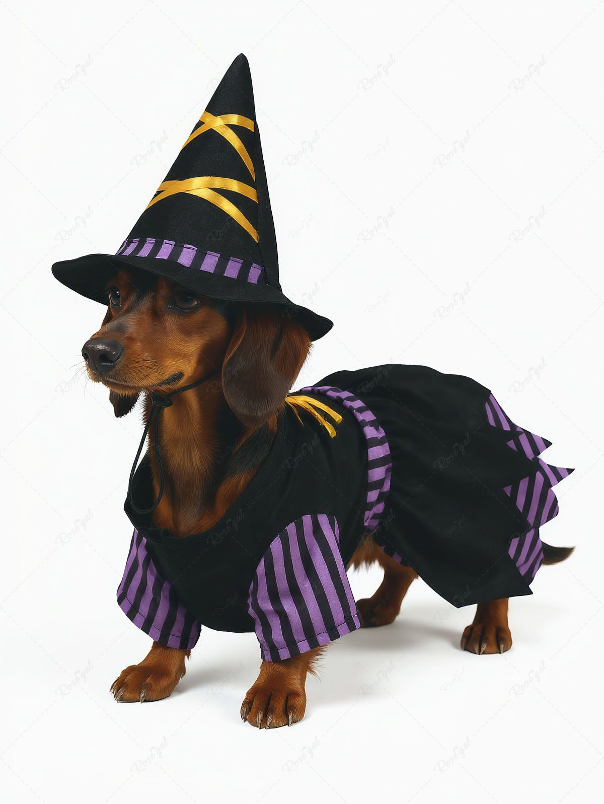 Pet's Halloween Witch Costume Dress and Hat Set