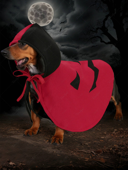 Pet's Halloween Costume Pumpkin Face Colorblock Printed Hooded Cloak