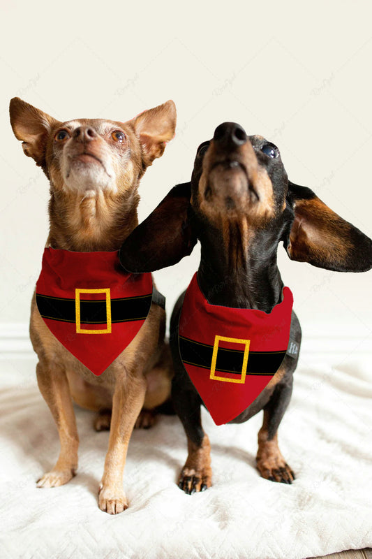 Pet's Christmas Santa Claus Belt Printed Bibs Bandana