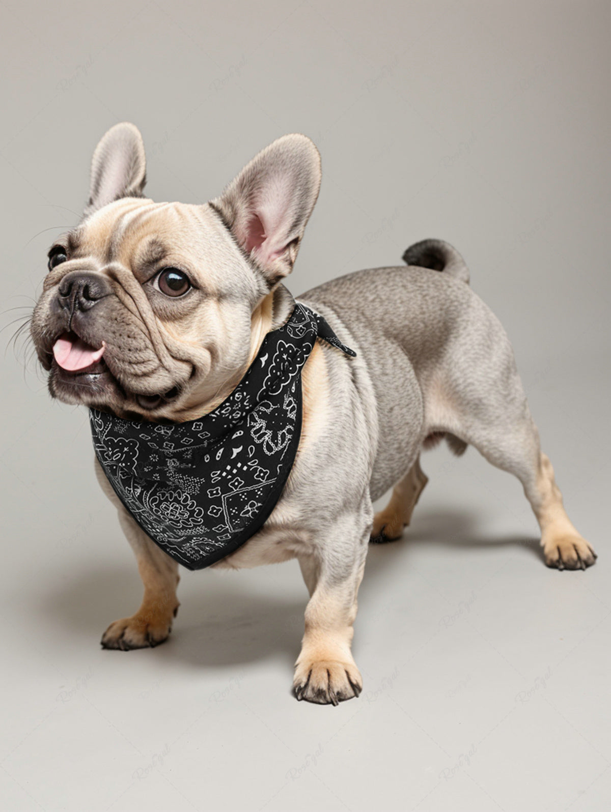 Pet's Paisley Floral Scarf Printed Bibs Bandana